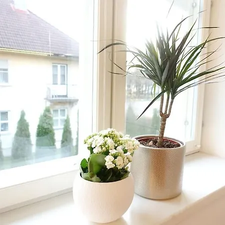 Beautiful 2 In The City Centre Apartment *